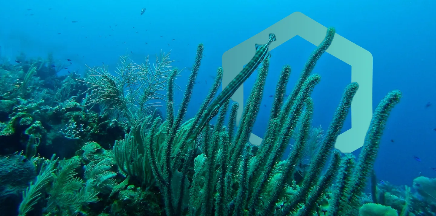 Develop A Nature Positive Strategy Naturemetrics